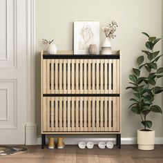 a wooden cabinet sitting next to a potted plant on top of a hard wood floor