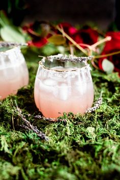 two glasses filled with pink liquid sitting on top of green moss covered ground next to red flowers