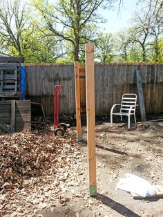 the back yard is littered with leaves and debris