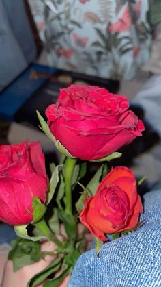 three red roses are being held by someone's hand