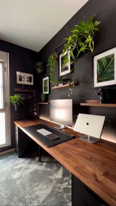 a desk with a laptop and some plants on it