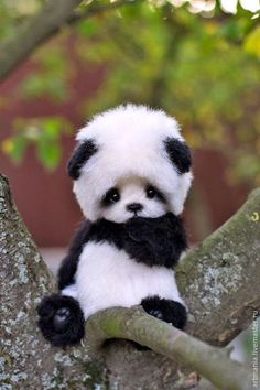 a stuffed panda bear sitting on top of a tree branch