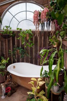 a bath tub surrounded by potted plants in front of a wooden wall with an arched window