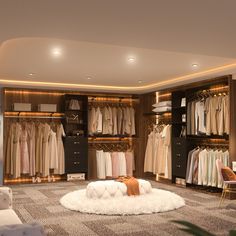 a large closet filled with lots of clothes and furniture next to a white couch on top of a rug