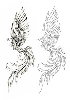 two drawings of birds flying in the air