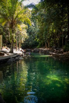 people are swimming in the river surrounded by trees