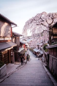 an alley way with cherry blossom trees in the background