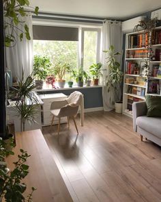 a living room filled with lots of plants next to a window covered in bookshelves