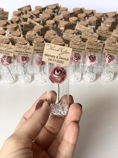 a hand holding a tiny flower in front of small bottles with labels on the top