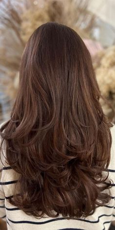 Chestnut Brown Ombre, Chocolate Brown Balayage On Brown Hair, Dark Colour Hair Ideas, Chocolate Brown Hair Auburn Highlights, Reddish Chocolate Brown Hair, Dark Brown Hair Colour Ideas, Brown Hair With Shadow Root, Chestnut Brown Hair Colors, Long Chestnut Brown Hair