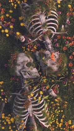 two skeletons laying in the grass surrounded by flowers