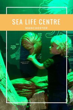 a young boy standing in front of a green wall with text overlay reading sea life centre manchester