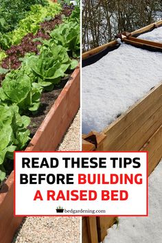 a garden bed with snow on the ground and plants growing in it next to each other