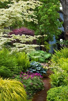 a garden with lots of plants and trees