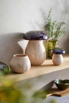 three vases sitting on top of a wooden shelf next to a potted plant