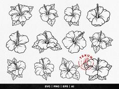 a set of hawaiian flowers in black and white