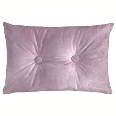 McAlister Textiles Matt Lilac Purple Velvet Button 40cm x 60cm Pillow Pillow Polyester Filler 60cm x 40cm Patterned Cushions, Large Cushion Covers, Covers Bed, Sofa Cushions, Fern Green, Couch Cushions, Petrol Blue, Velvet Color, Cushion Pattern