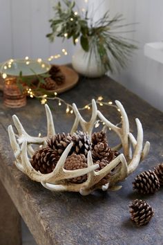 antlers and pine cones on a wooden table