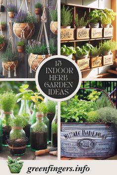 an assortment of indoor herb garden ideas