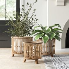 three wicker planters sitting on top of a rug in front of a fireplace