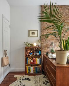 a living room with a book shelf filled with books next to a potted plant