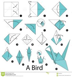 step by step instructions to make origami bird for kids and adults with pictures