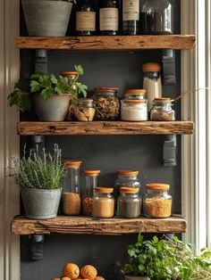 an assortment of spices and herbs on wooden shelves