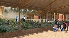 an artist's rendering of people tending to plants in a large open area with wooden flooring