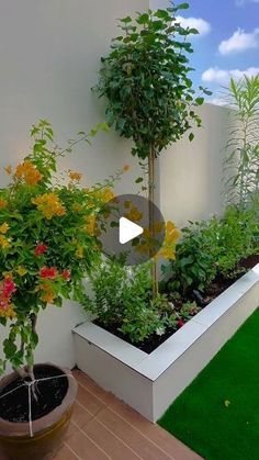 an outdoor garden with artificial grass and plants in the center, on top of a white wall