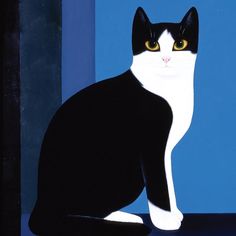 a black and white cat with yellow eyes sits on a blue surface in front of a wall