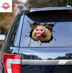 a pig sticking its head out the window of a car with it's tongue hanging out