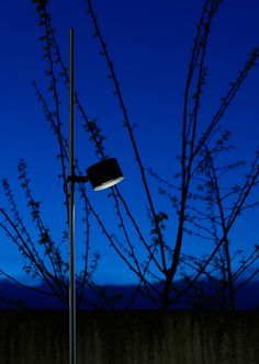 a street light sitting next to a tree with no leaves on it at night time