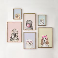 six framed pictures of dogs with pink bows on their heads and one has a bubble in its mouth