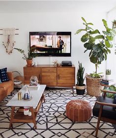 a living room filled with furniture and plants