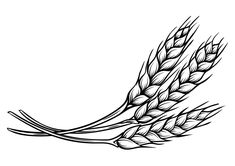 a black and white drawing of some wheat