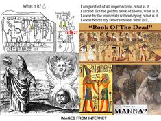 an image of ancient egypt and the book of the dead with caption that reads, what if?