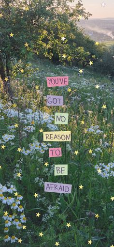 a field filled with lots of flowers and signs that say you've got no reason to be afraid