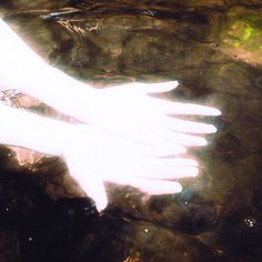 a pair of white gloves laying on top of a body of water next to rocks