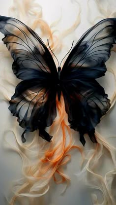 a black and orange butterfly with white wings on it's back, flying through the air