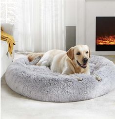 a dog is laying on his bed in front of the fire place and looking at the camera