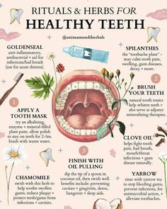 Kesehatan Gigi, دورة شهرية, Medical Herbs, Hygiene Tips, Teeth Health, Natural Healing Remedies, Herbal Healing, Home Health Remedies, Herbs For Health