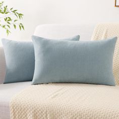 two blue pillows sitting on top of a white couch next to a potted plant