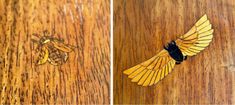 two pictures of a yellow and black insect on wooden floor next to another image of a bee