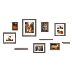 a group of pictures hanging on the wall next to each other with different frames around them