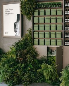 an outdoor display with plants and bottles on the wall