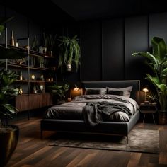 a bedroom with black walls and wooden flooring, potted plants on the wall