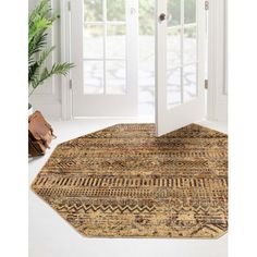 an area rug in front of a white door with two open doors and a potted plant