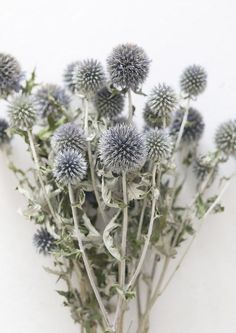 a bunch of flowers that are sitting on a table in front of a white wall