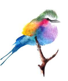 a colorful bird sitting on top of a tree branch in front of a white background