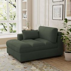 a living room scene with focus on the green couch and potted plant in the corner